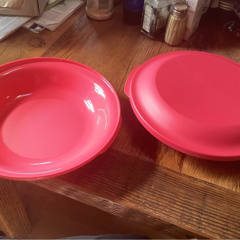 Tupperware Aloha Bowl/Plate set of 2 in vibrant pink